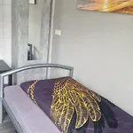 بيت شباب M&r
